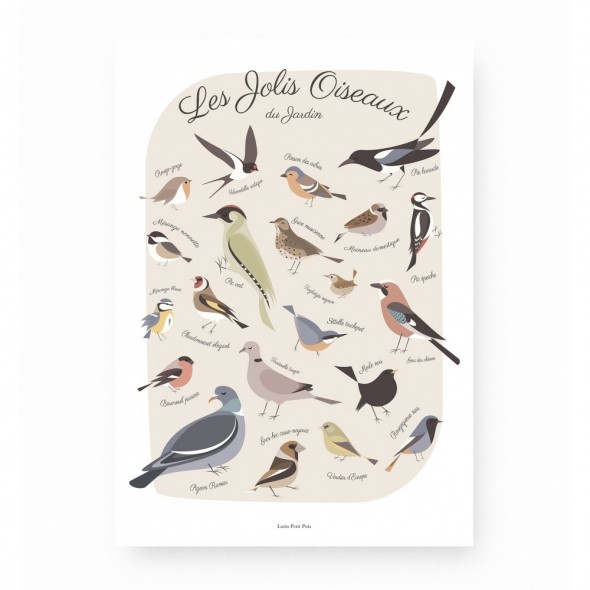 Affiche - Les jolis oiseaux du jardin
