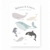 Affiche - Baleines & Cétacés