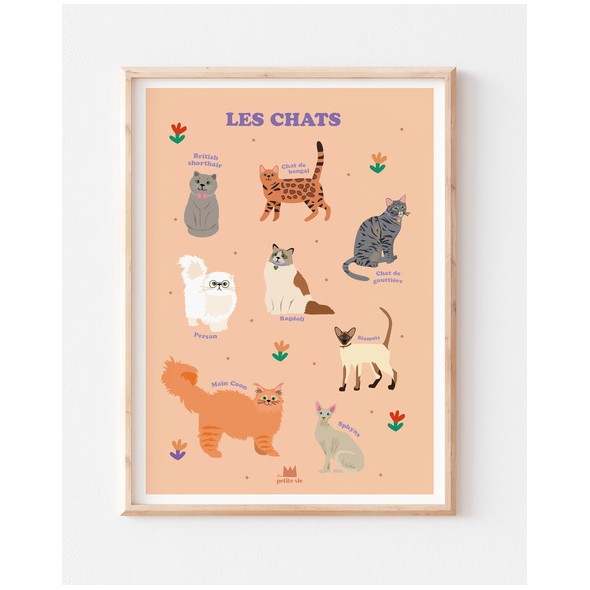 Affiche pédagogique - Les chats (50x70 cm)